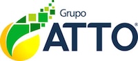 Grupo Atto